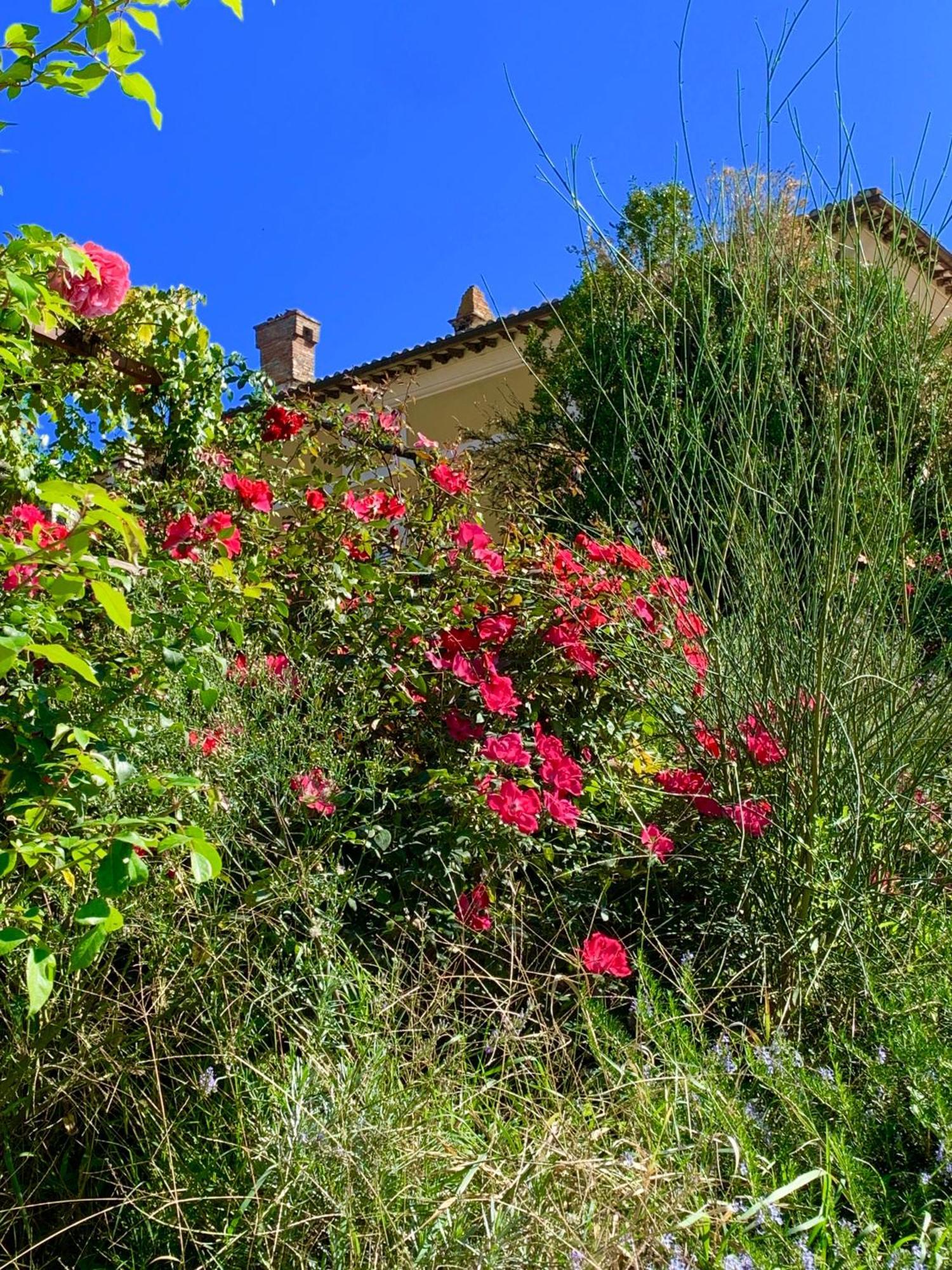 Il Broglino Villa Todi Kültér fotó